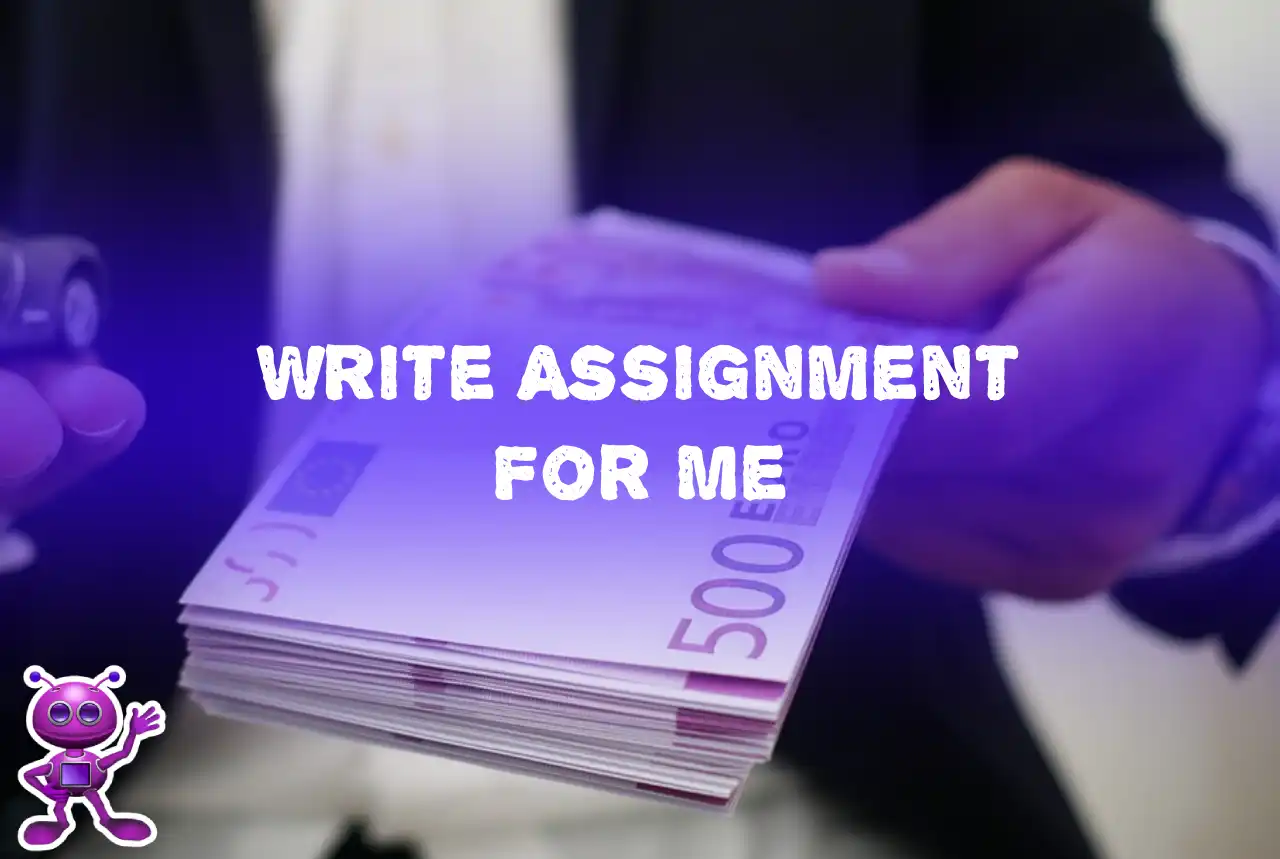 write assignment for me